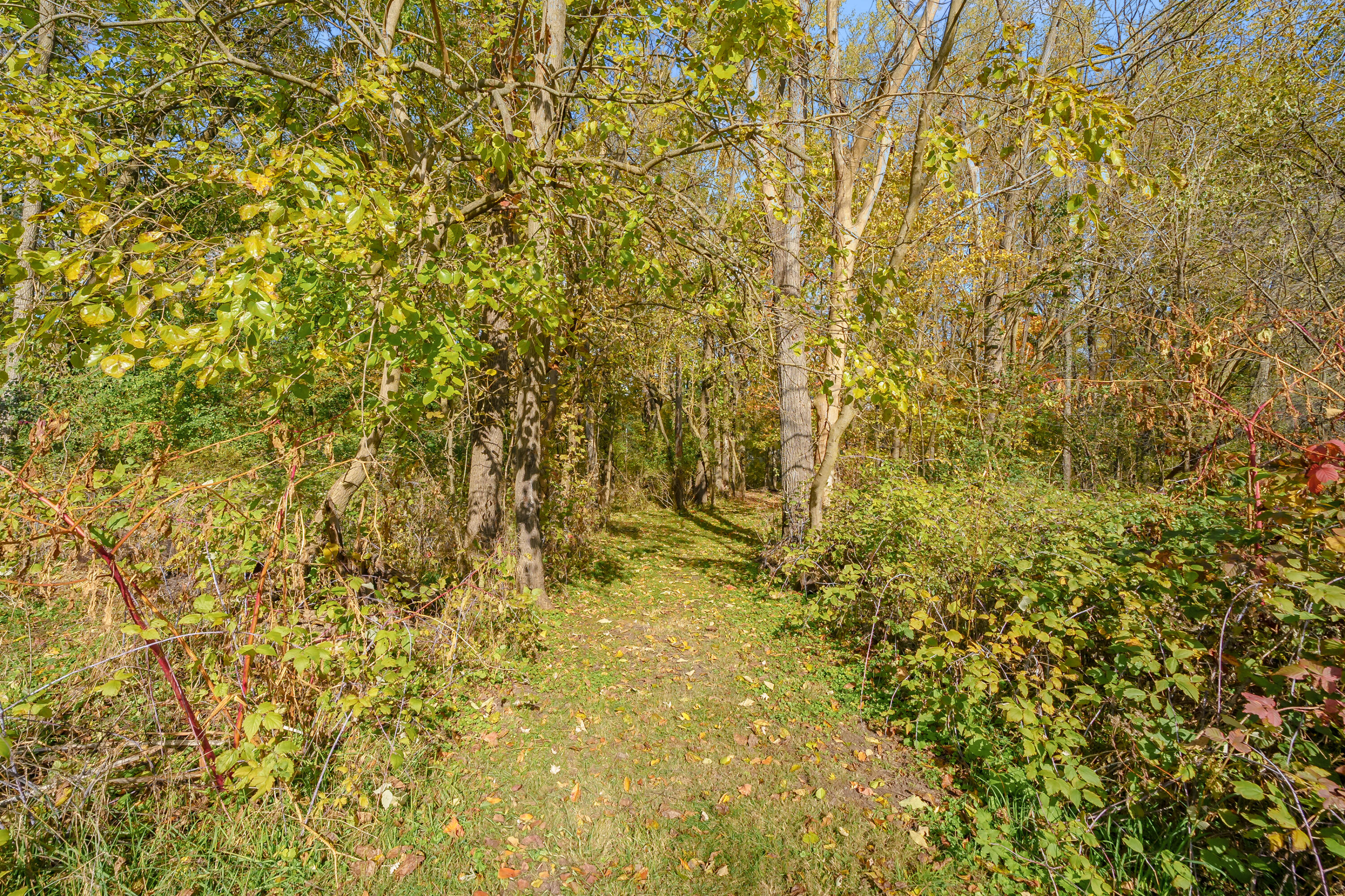 3822 Nazareth Road Kalamazoo, MI 49004 - Photo 26 of 38 Nazareth Rd 3822 Kalamazoo 49004-31