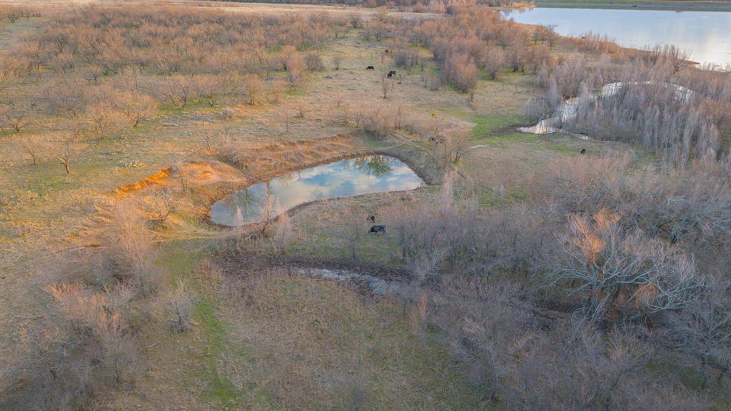 281 St Perrin Tx 76486 Perrin, TX 76486 - Photo 13 of 31 a view of a dry yard