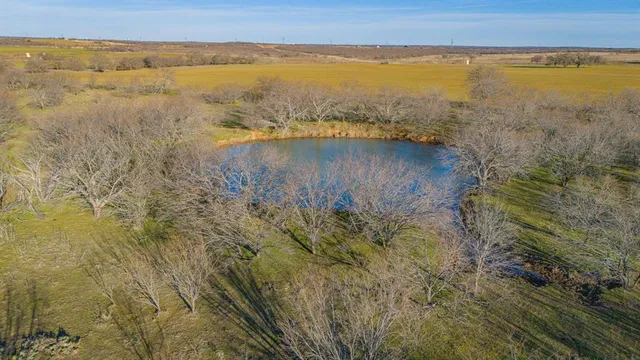 a view of a dry yard with wooden fence