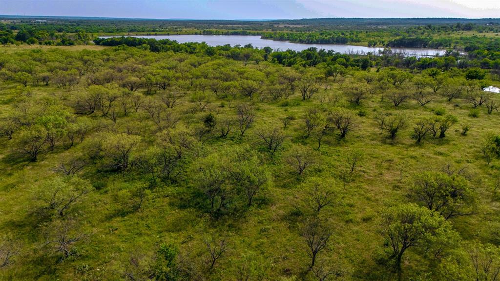 281 St Perrin Tx 76486 Perrin, TX 76486 - Photo 2 of 31 a view of a green field with lots of trees in it