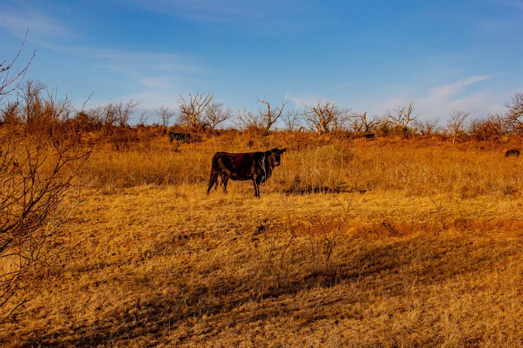 281 St Perrin Tx 76486 Perrin, TX 76486 - Photo 24 of 31 a view of a lake with a house