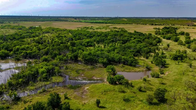 a view of a garden with an outdoor space