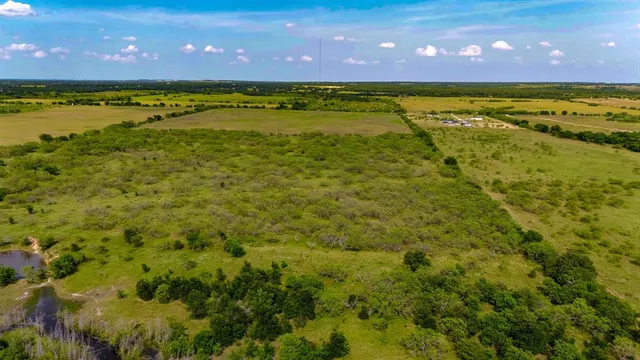 a view of an ocean from a yard