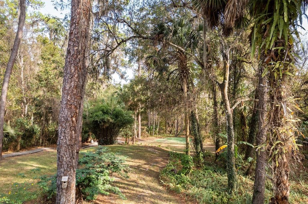 22675 Northwest 75th Avenue Road Micanopy, FL 32667 - Photo 52 of 72