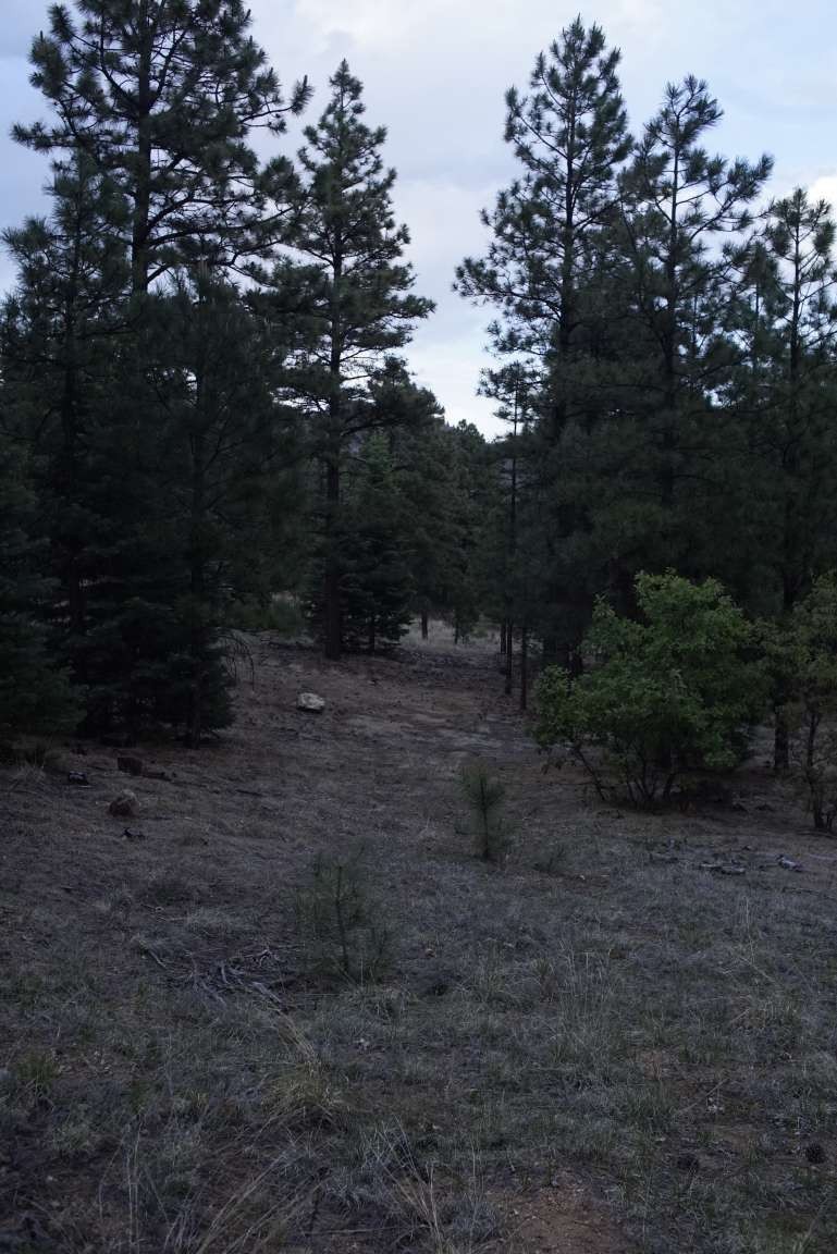 0 A015 County Road Mora, NM 87732 - Photo 29 of 40