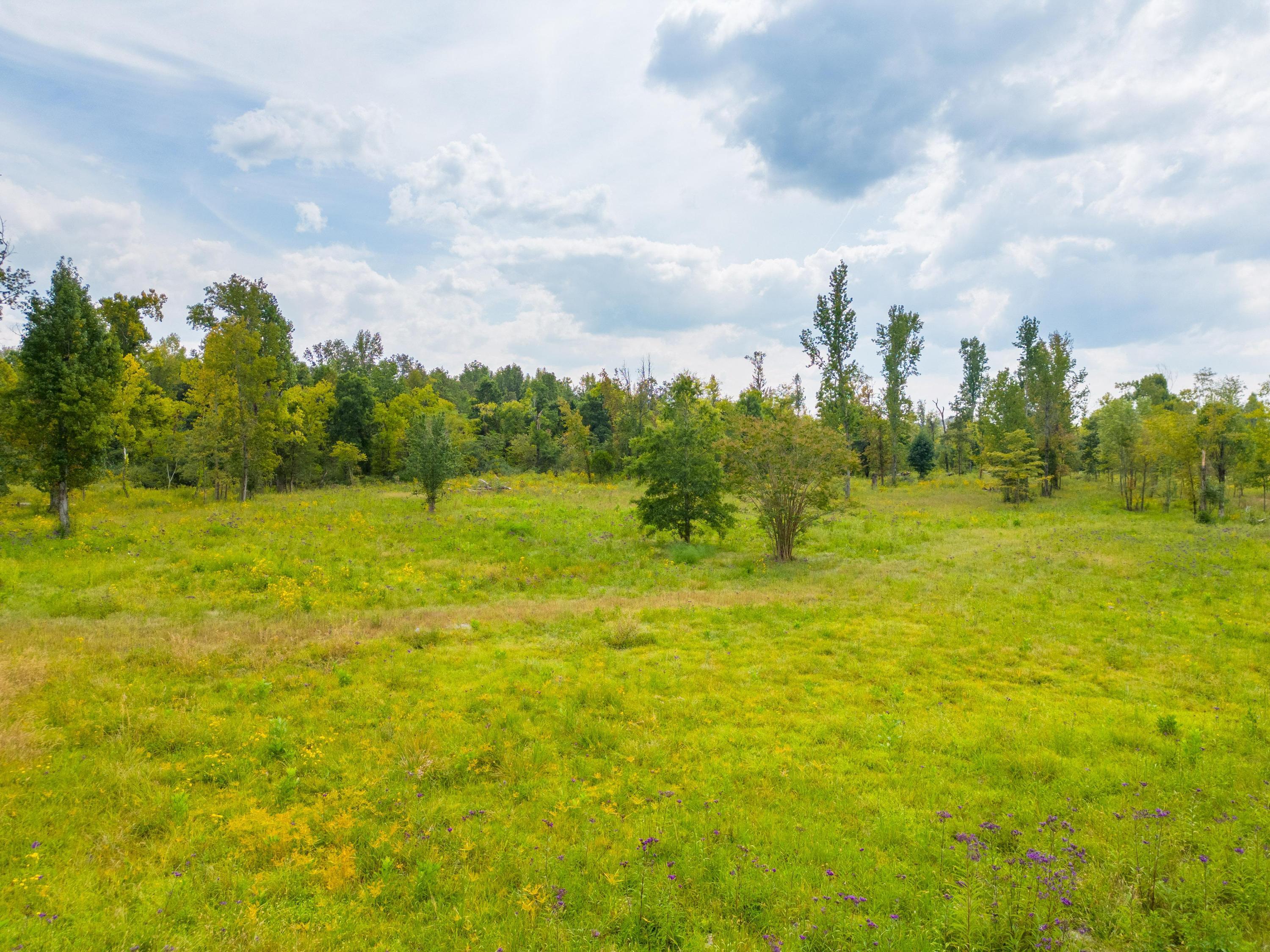 1816 Gray Road Chattanooga, TN 37421 - Photo 20 of 36 2023_09_September_1816_Gray_Rd_0018