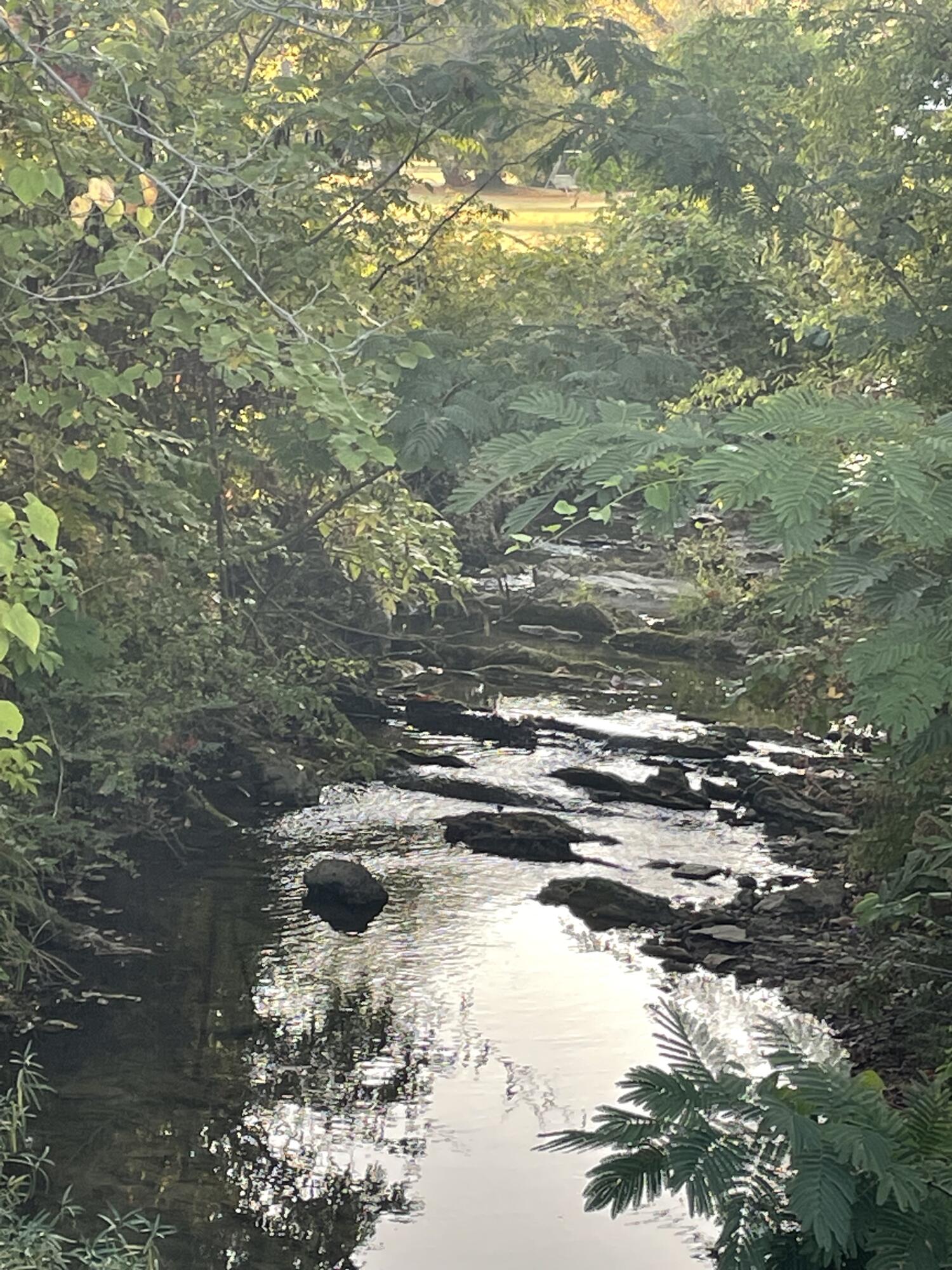 1816 Gray Road Chattanooga, TN 37421 - Photo 23 of 36 IMG_4800 copy