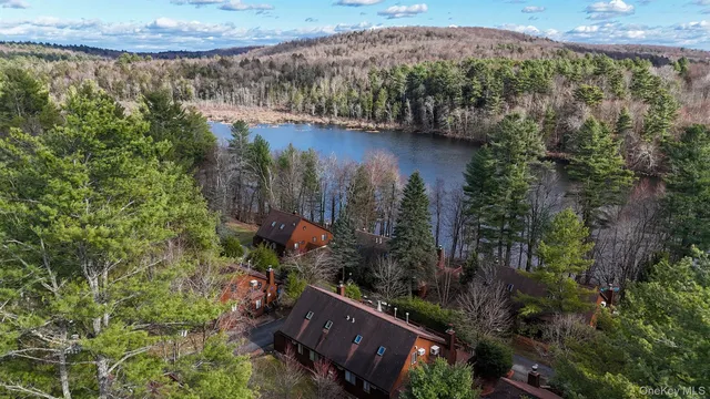 a view of a lake in middle of the forest