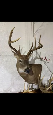 $790,000 | N8718 County Road VV, Farmington, WI 54644