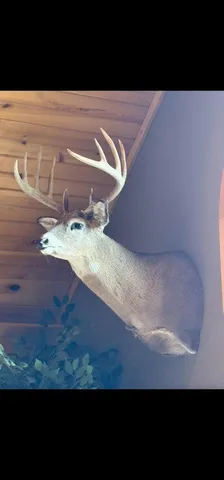 $790,000 | N8718 County Road VV, Farmington, WI 54644