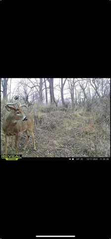 $790,000 | N8718 County Road VV, Farmington, WI 54644