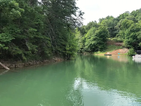 a view of a garden from a window