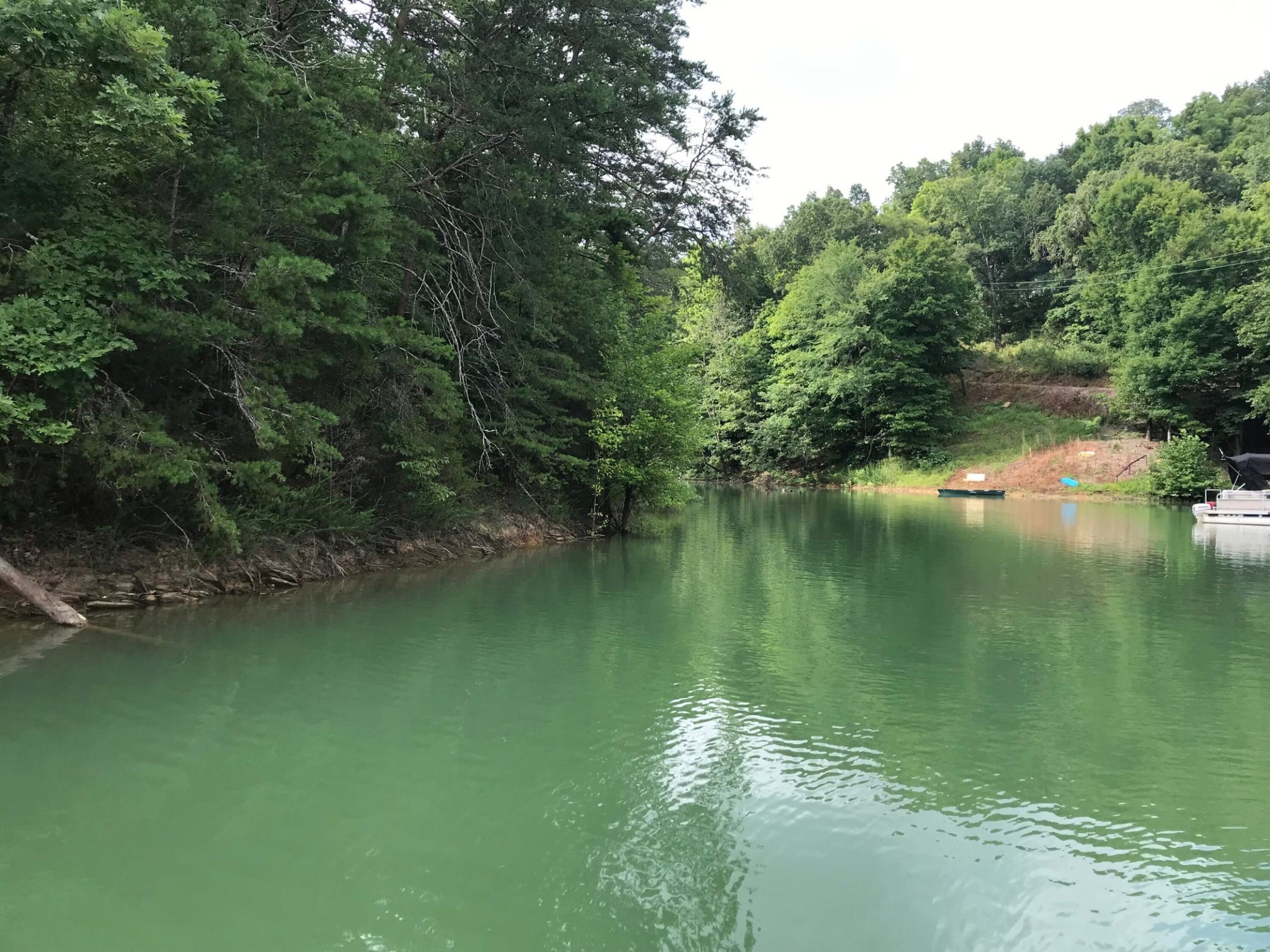 13 Pleasure Road Sevierville, TN 37876 - Photo 14 of 20 a view of a lake view