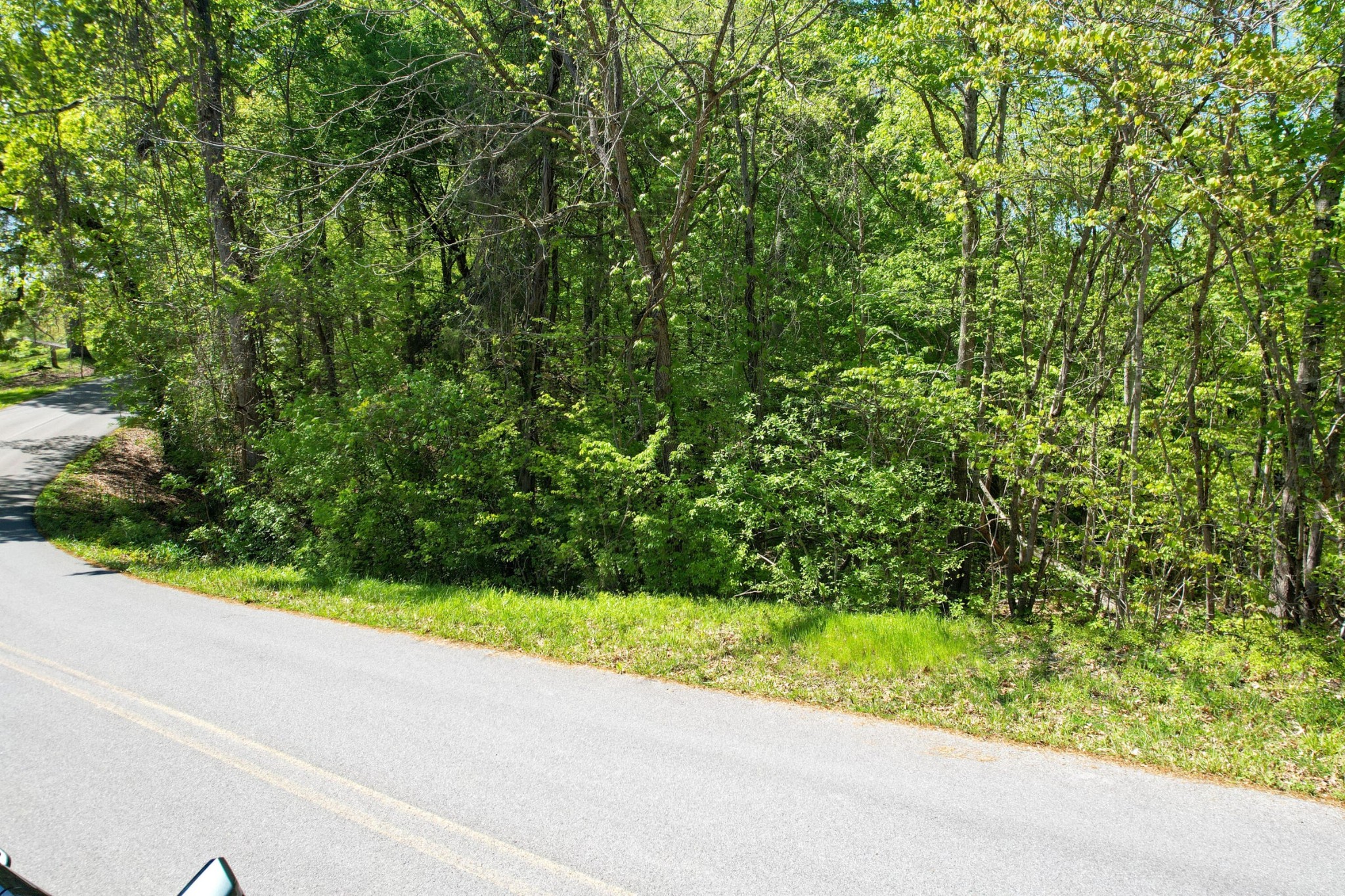 13 Pleasure Road Sevierville, TN 37876 - Photo 15 of 20 a view of a garden from a window
