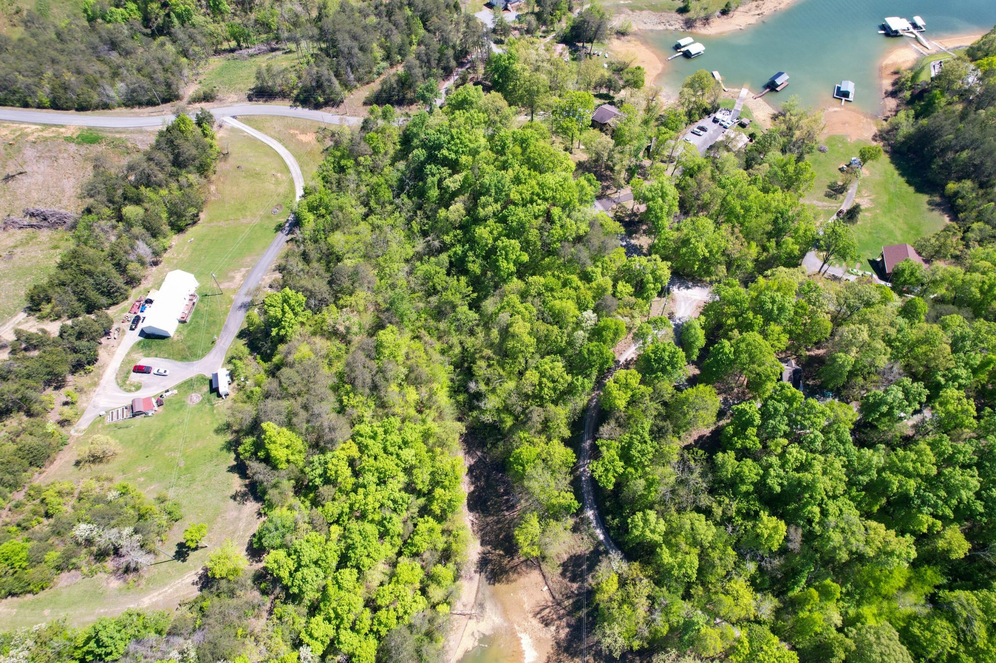 13 Pleasure Road Sevierville, TN 37876 - Photo 8 of 20 a view of a garden