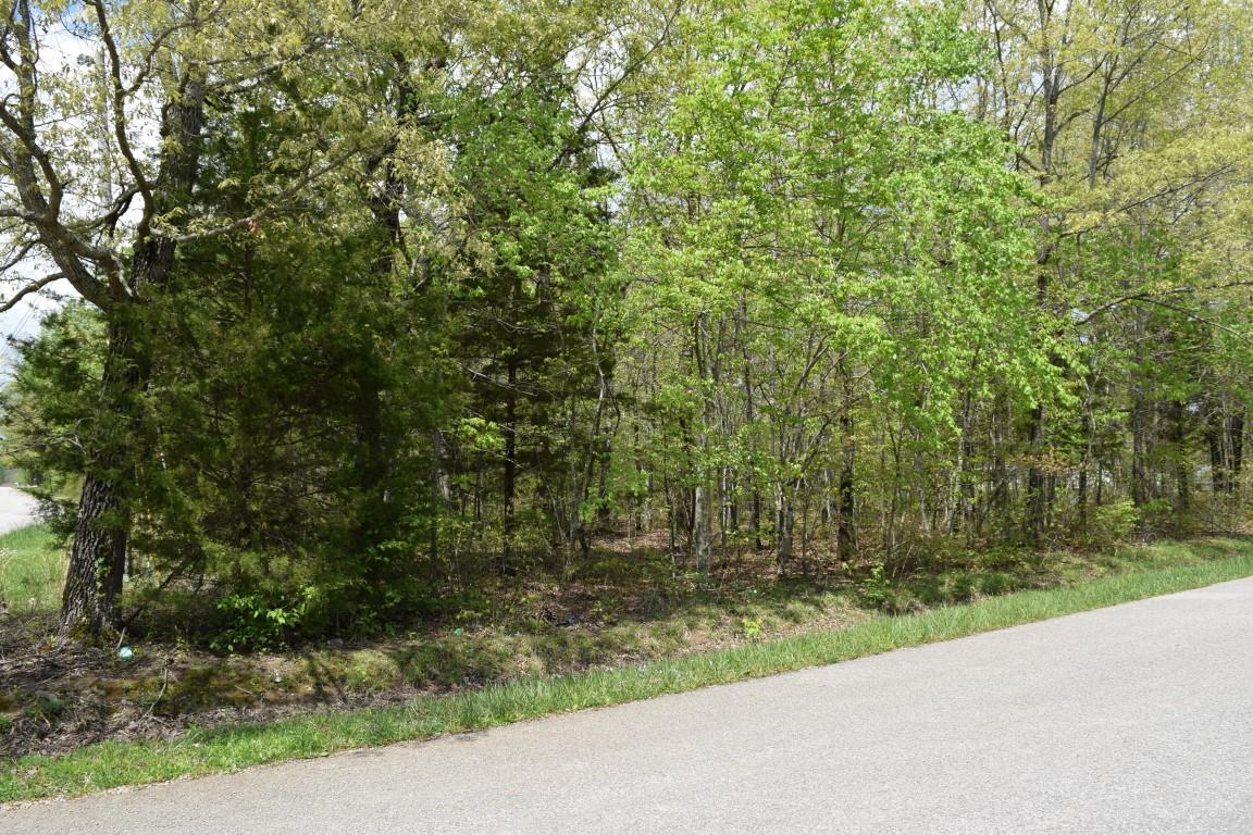 256 Geneva Boynton Road Manchester, TN 37355 - Photo 2 of 5
