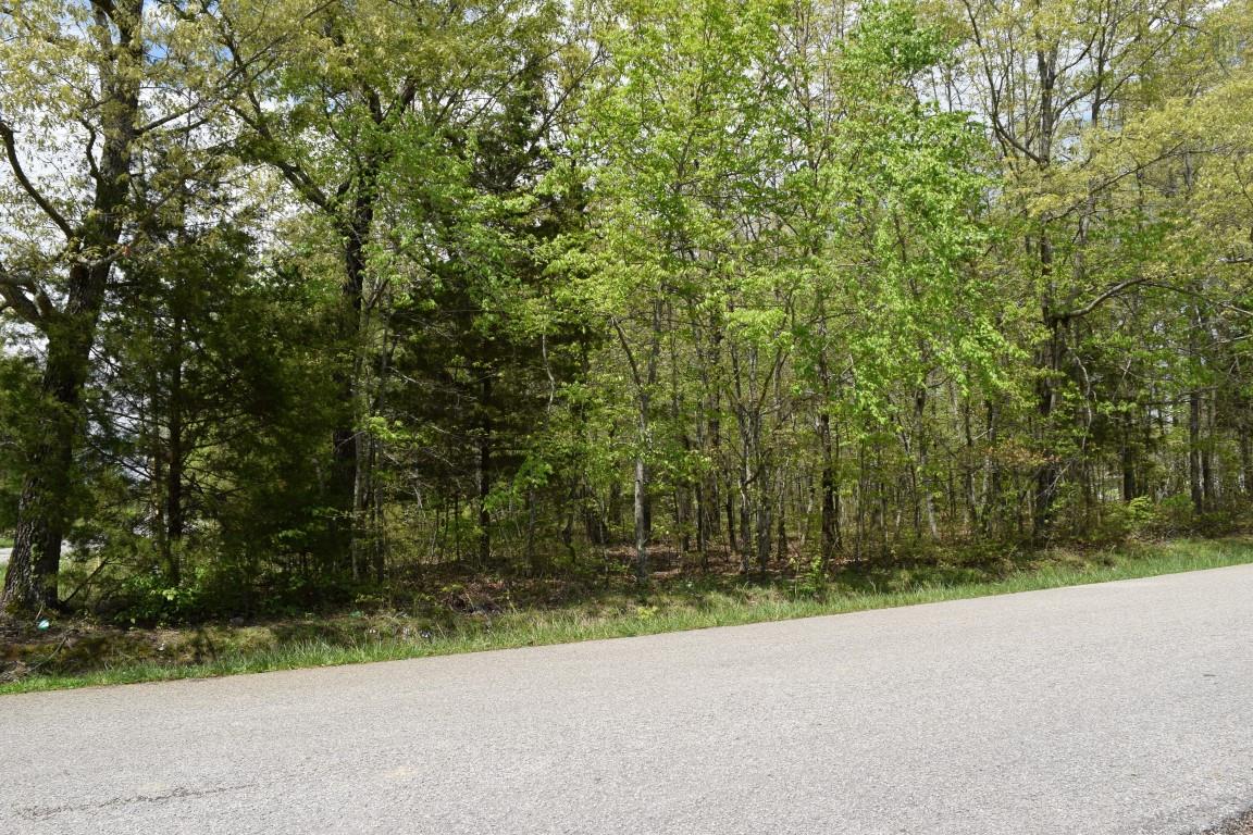 256 Geneva Boynton Road Manchester, TN 37355 - Photo 3 of 5