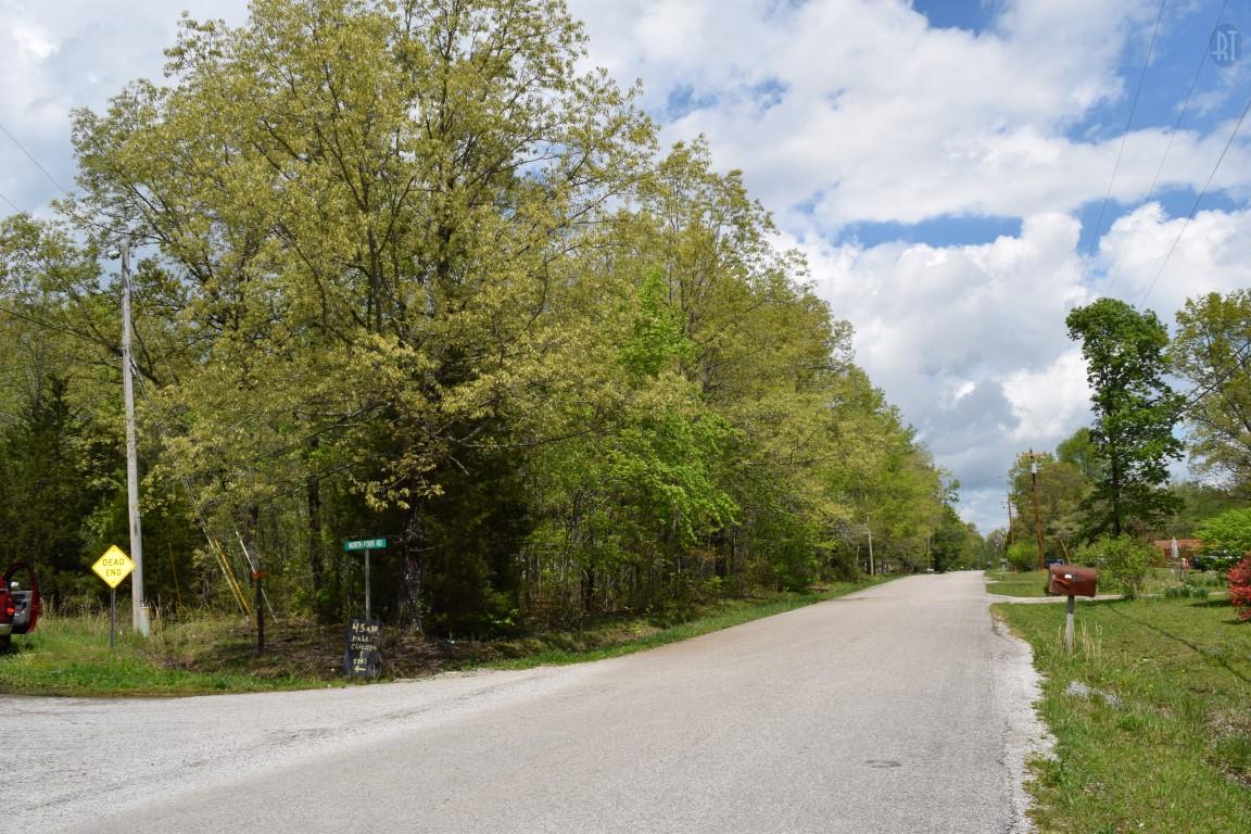 256 Geneva Boynton Road Manchester, TN 37355 - Photo 4 of 5