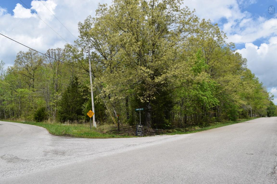 256 Geneva Boynton Road Manchester, TN 37355 - Photo 5 of 5