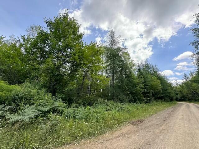 Lot #3 Pleine Road St. Agatha, ME 04772 - Photo 22 of 32