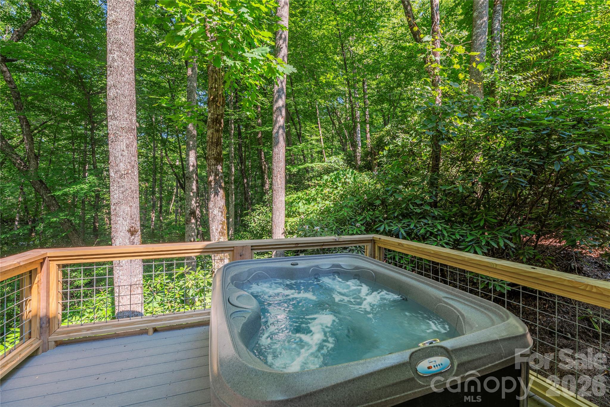 35 Flint Ridge Road Bryson City, NC 28713 - Photo 16 of 48 Gallery Image 16