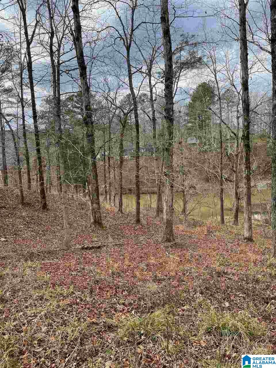 391 Amanda Lane Shelby, AL 35143 - Photo 5 of 9