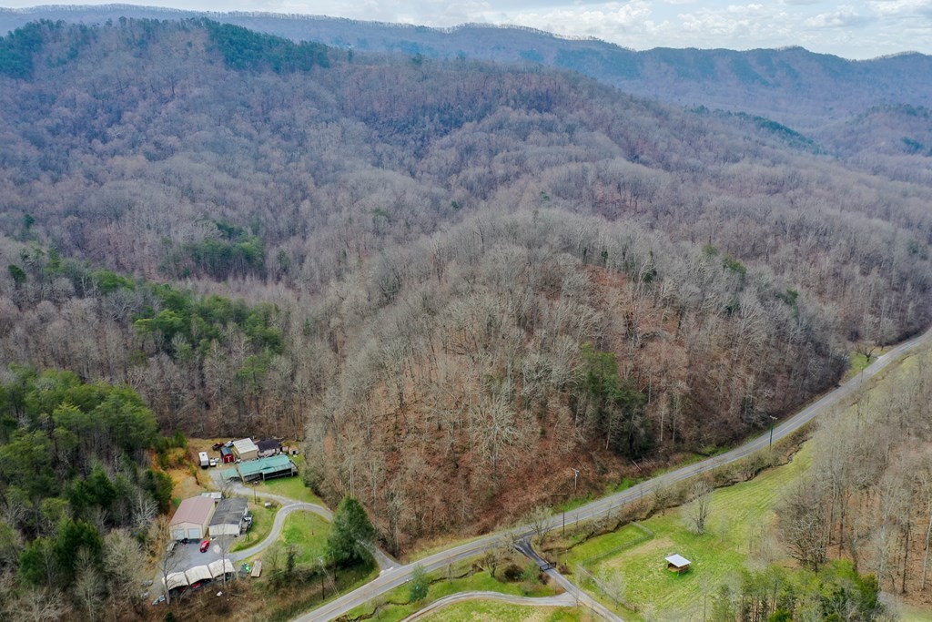 0 Dripping Springs Road Seymour, TN 37865 - Photo 13 of 32 Gallery Image 13