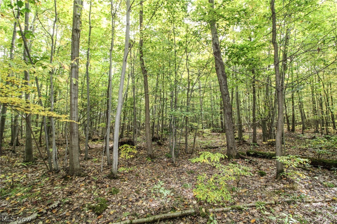 0 Kyle Road Dorset, OH 44032 - Photo 27 of 35 Gallery Image 27