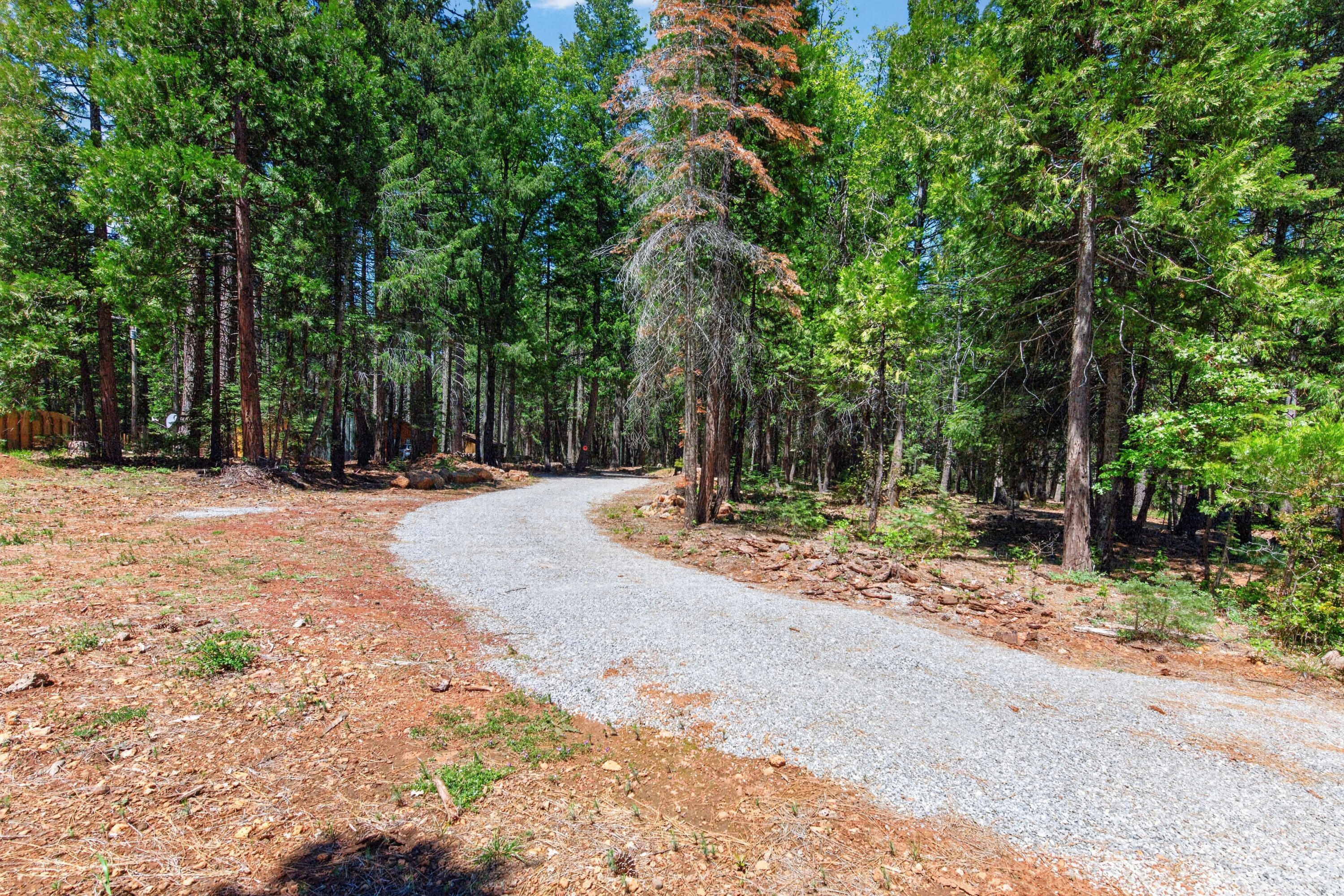 7536 Linda Road Shingletown, CA 96088 - Photo 4 of 26 _DSC3536