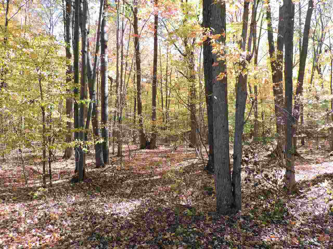 2860 North Garfield Road Pinconning, MI 48650 - Photo 35 of 47 Gallery Image 35