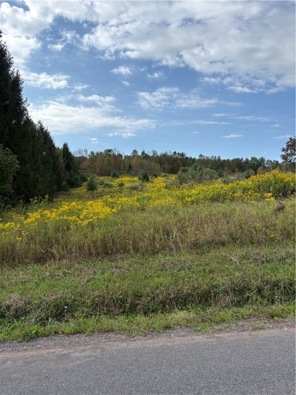 1189 High Bridge Road Guilford, NY 13809 - Photo 13 of 17