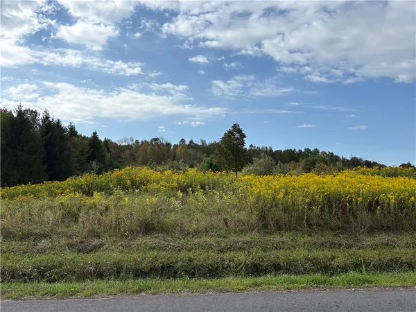 $79,000 | 1189 High Bridge Road, Guilford, NY 13809