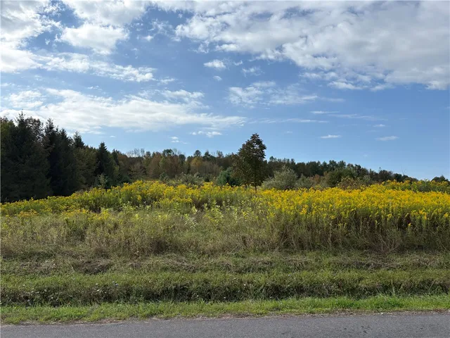 $79,000 | 1189 High Bridge Road, Guilford, NY 13809