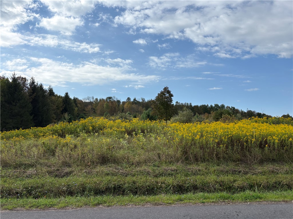 1189 High Bridge Road Guilford, NY 13809 - Photo 14 of 17