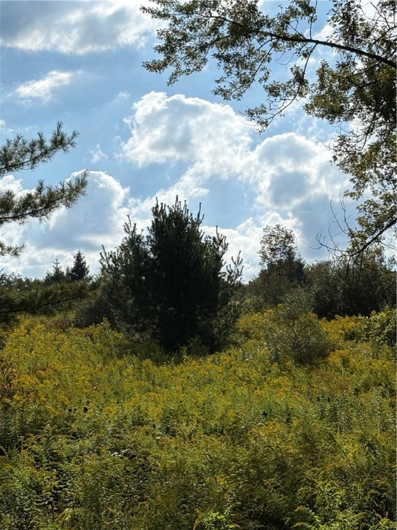 1189 High Bridge Road Guilford, NY 13809 - Photo 16 of 17