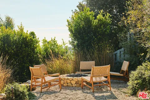 a close up of a plant in a garden