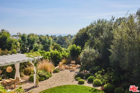 a view of a garden with plants and large trees