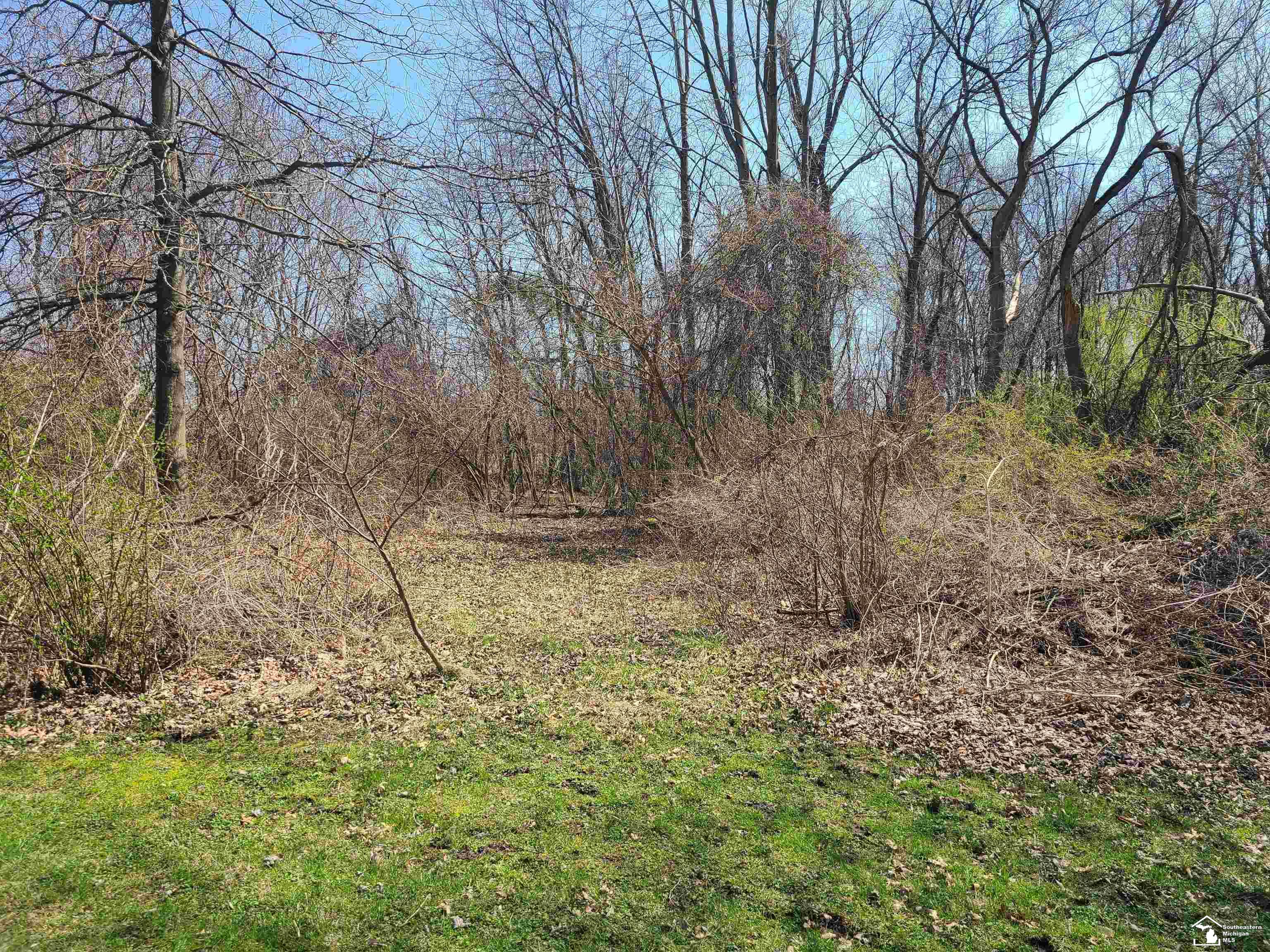11581 Dixon Road Monroe, MI 48161 - Photo 17 of 41