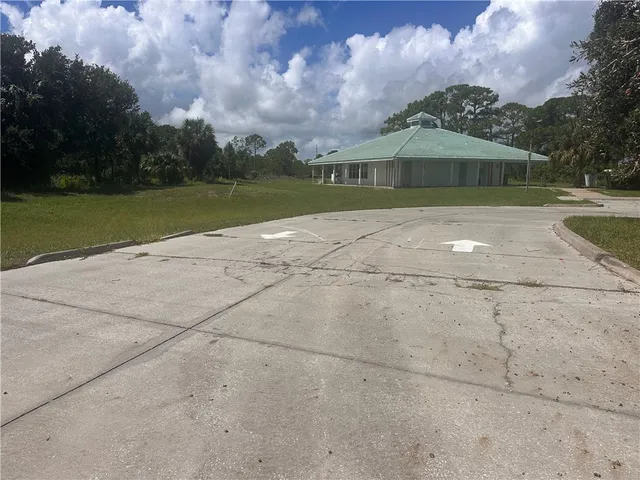 a view of a park with a large tree