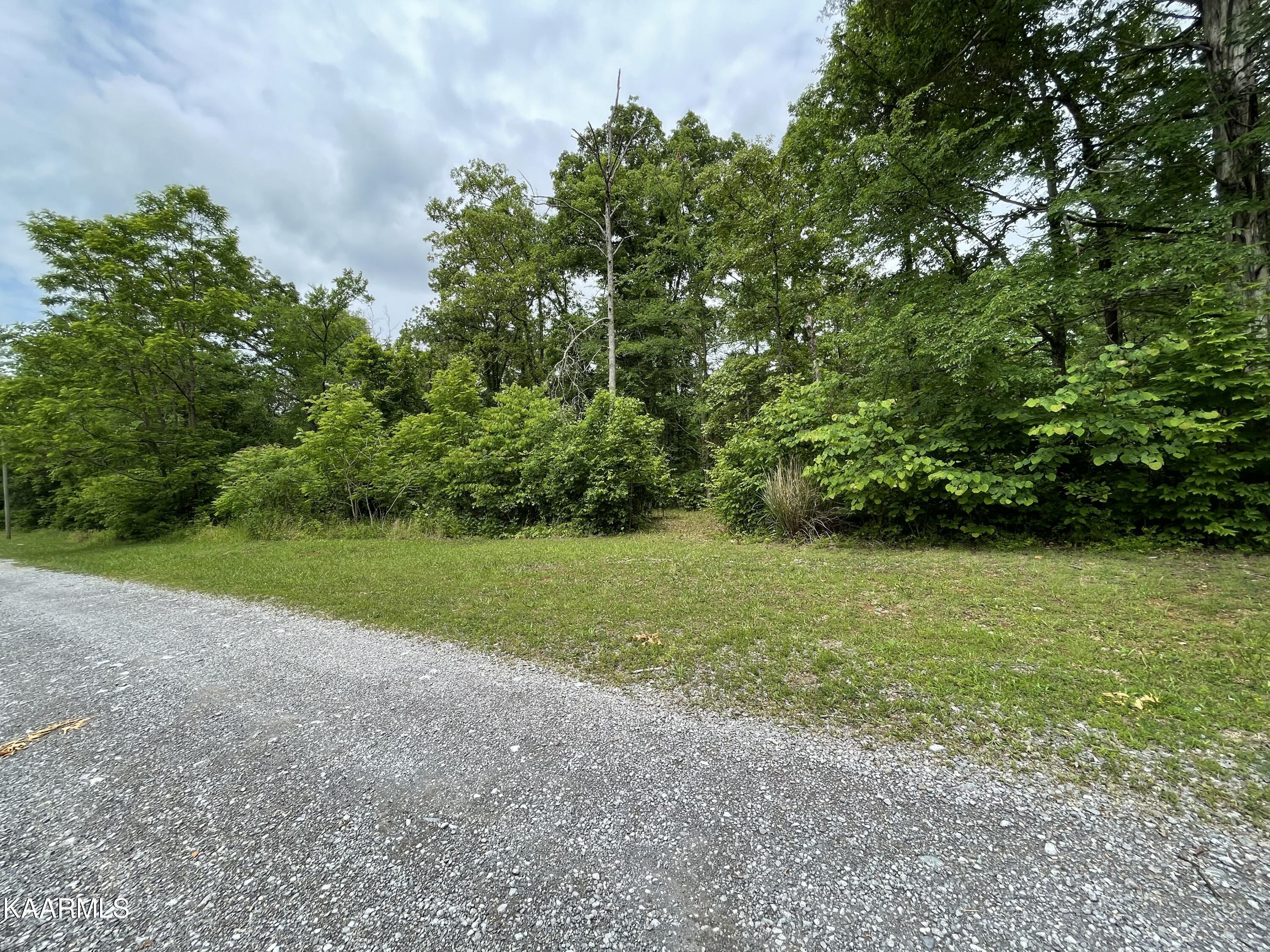 French Broad River Road Seymour, TN 37865 - Photo 1 of 51 9090DB1D-8CC4-42D0-8D9A-AE44E412210C