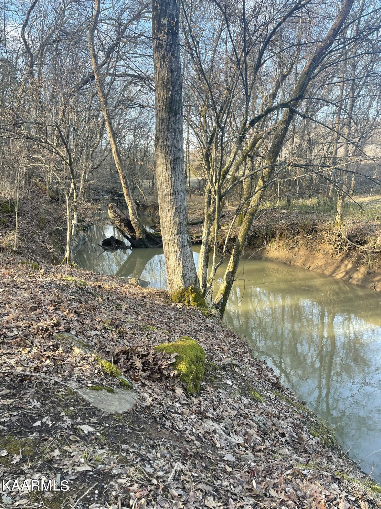French Broad River Road Seymour, TN 37865 - Photo 12 of 51 DF2F548E-472A-451F-9CCE-EEFF400BDB00_1_1