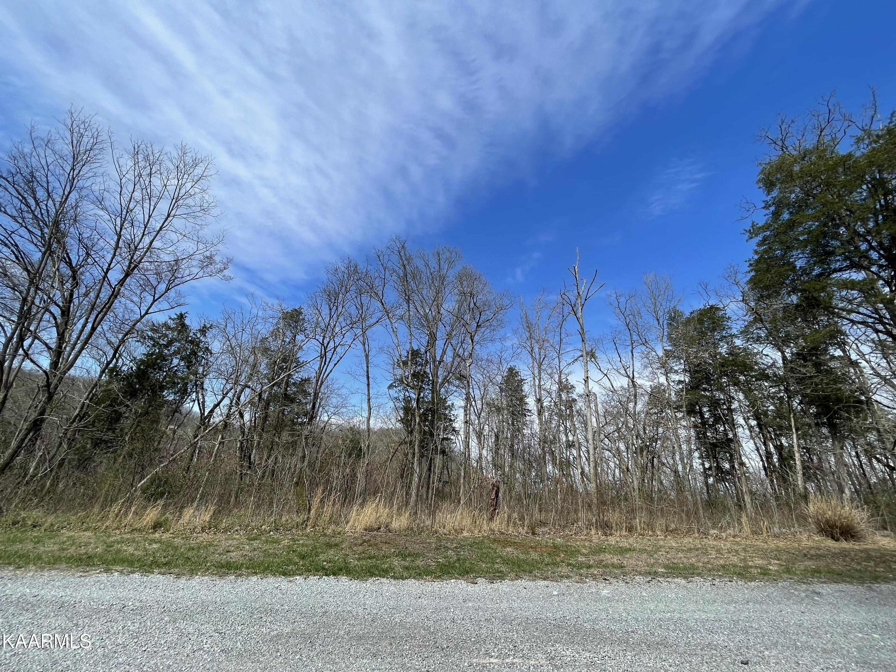 French Broad River Road Seymour, TN 37865 - Photo 20 of 51 IMG_4068