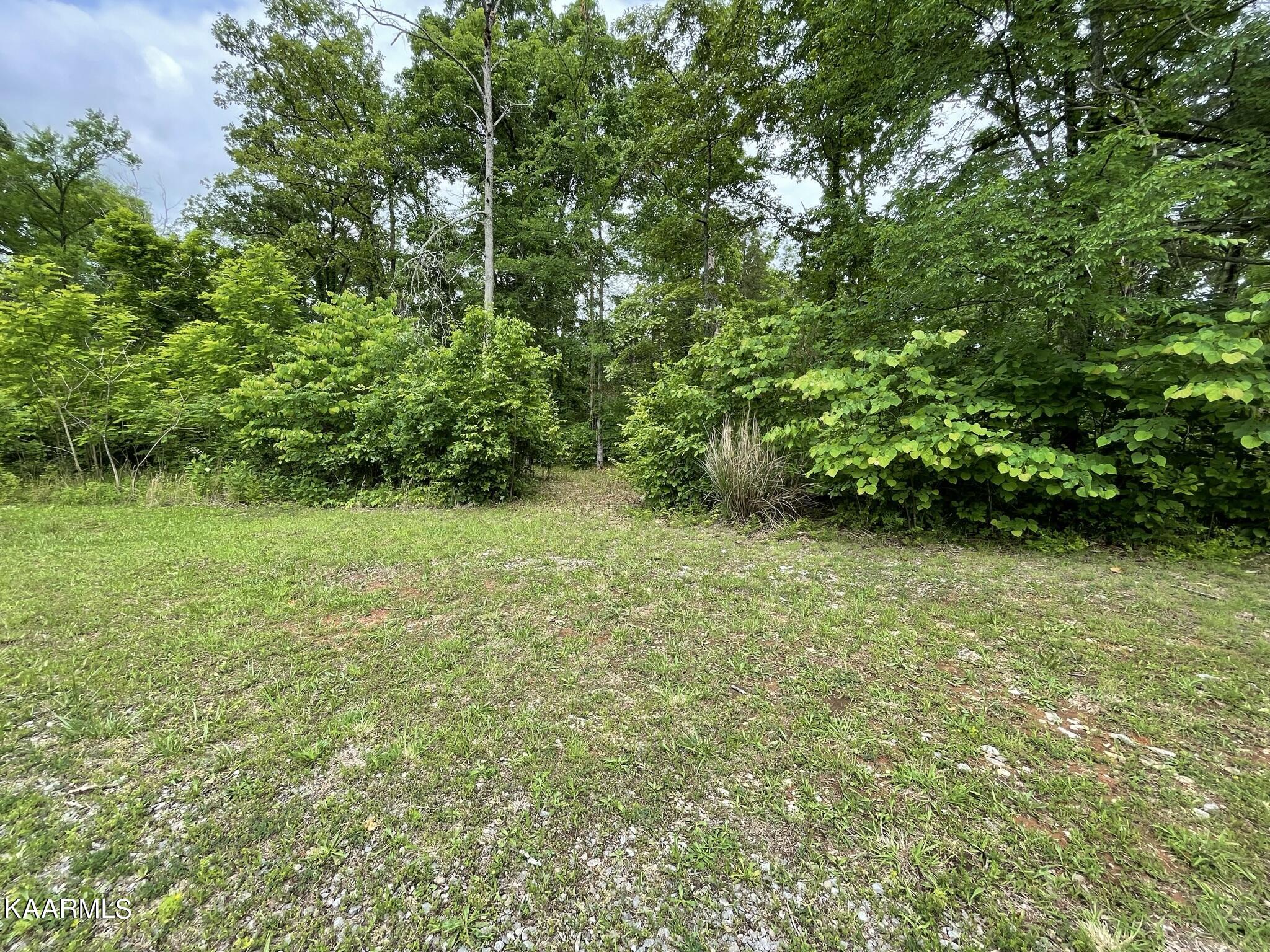 French Broad River Road Seymour, TN 37865 - Photo 2 of 51 5D6B7A7D-0930-43B0-8BD2-DE7F4904A466_1_1