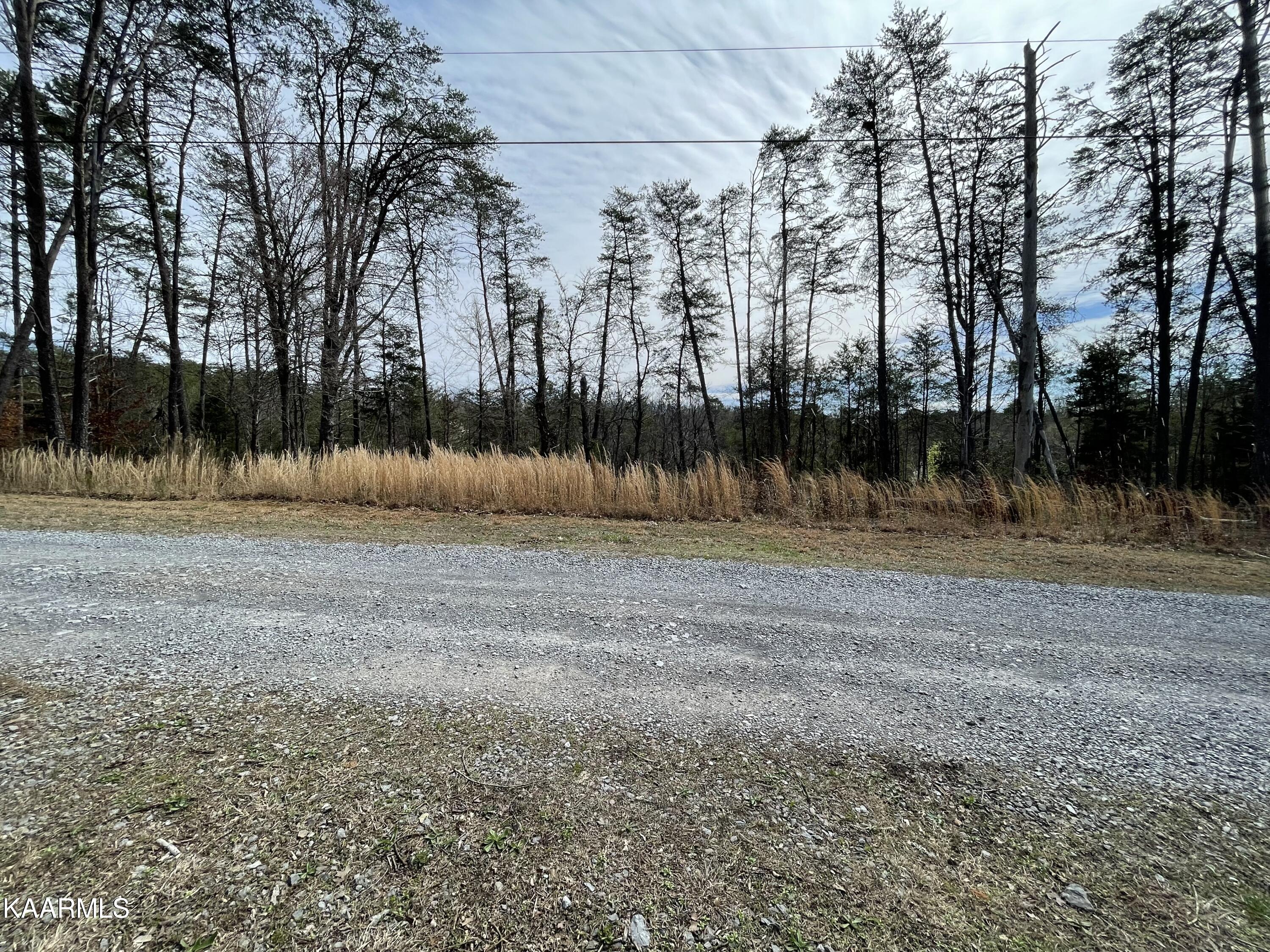 French Broad River Road Seymour, TN 37865 - Photo 23 of 51 IMG_4067