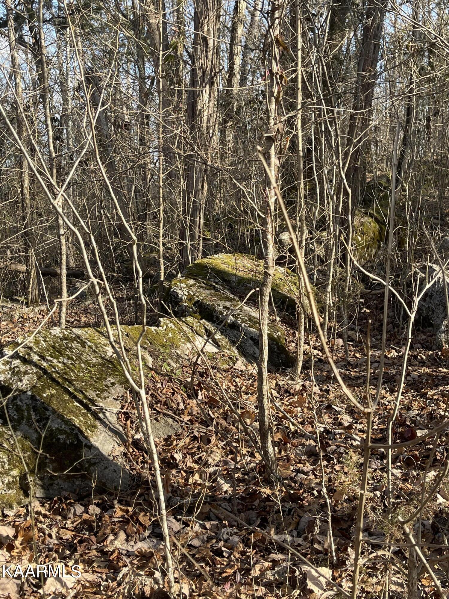 French Broad River Road Seymour, TN 37865 - Photo 25 of 51 IMG_3926