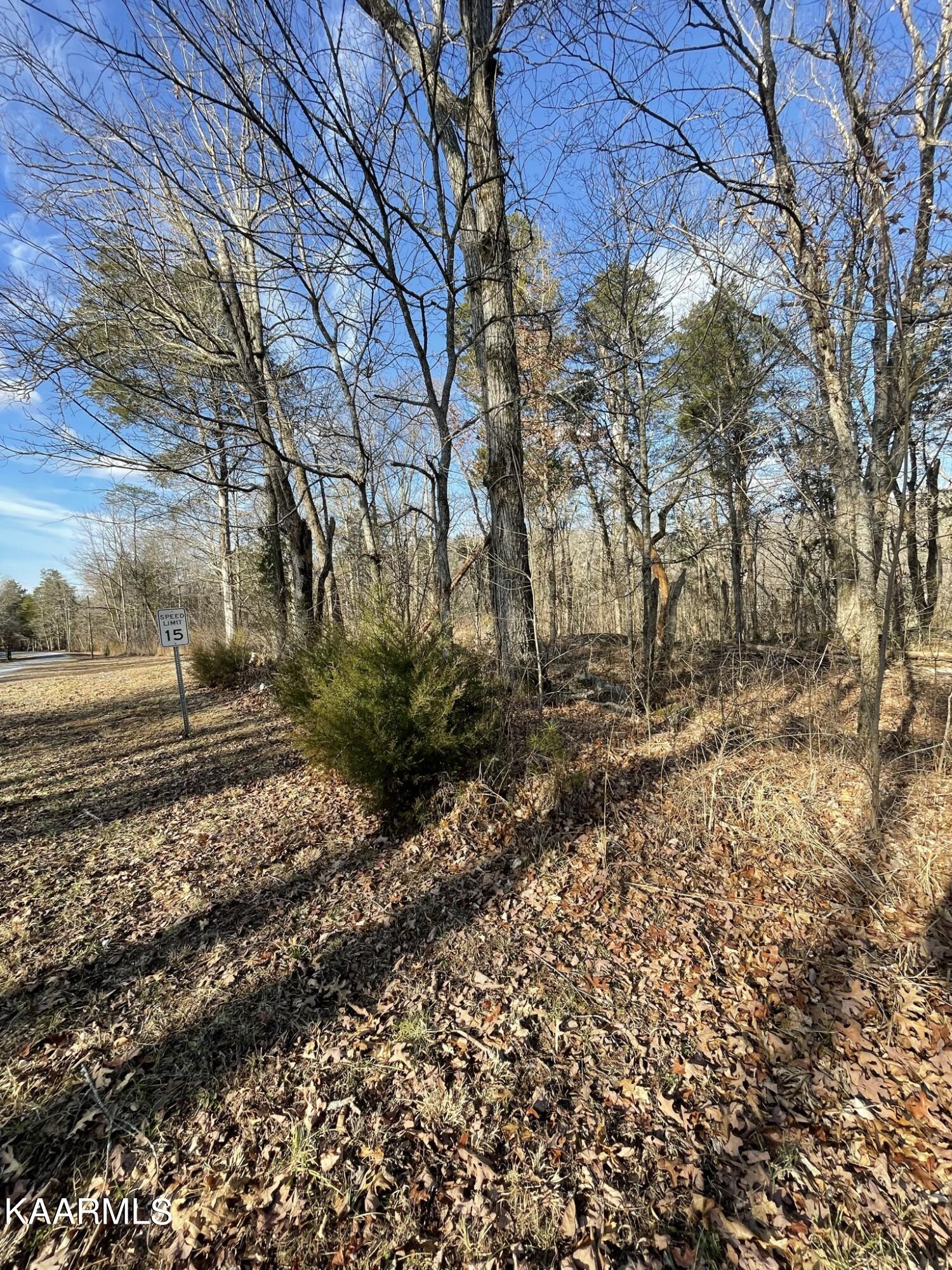 French Broad River Road Seymour, TN 37865 - Photo 27 of 51 1263D243-9936-4064-A480-25B0F33C6C7A_1_1