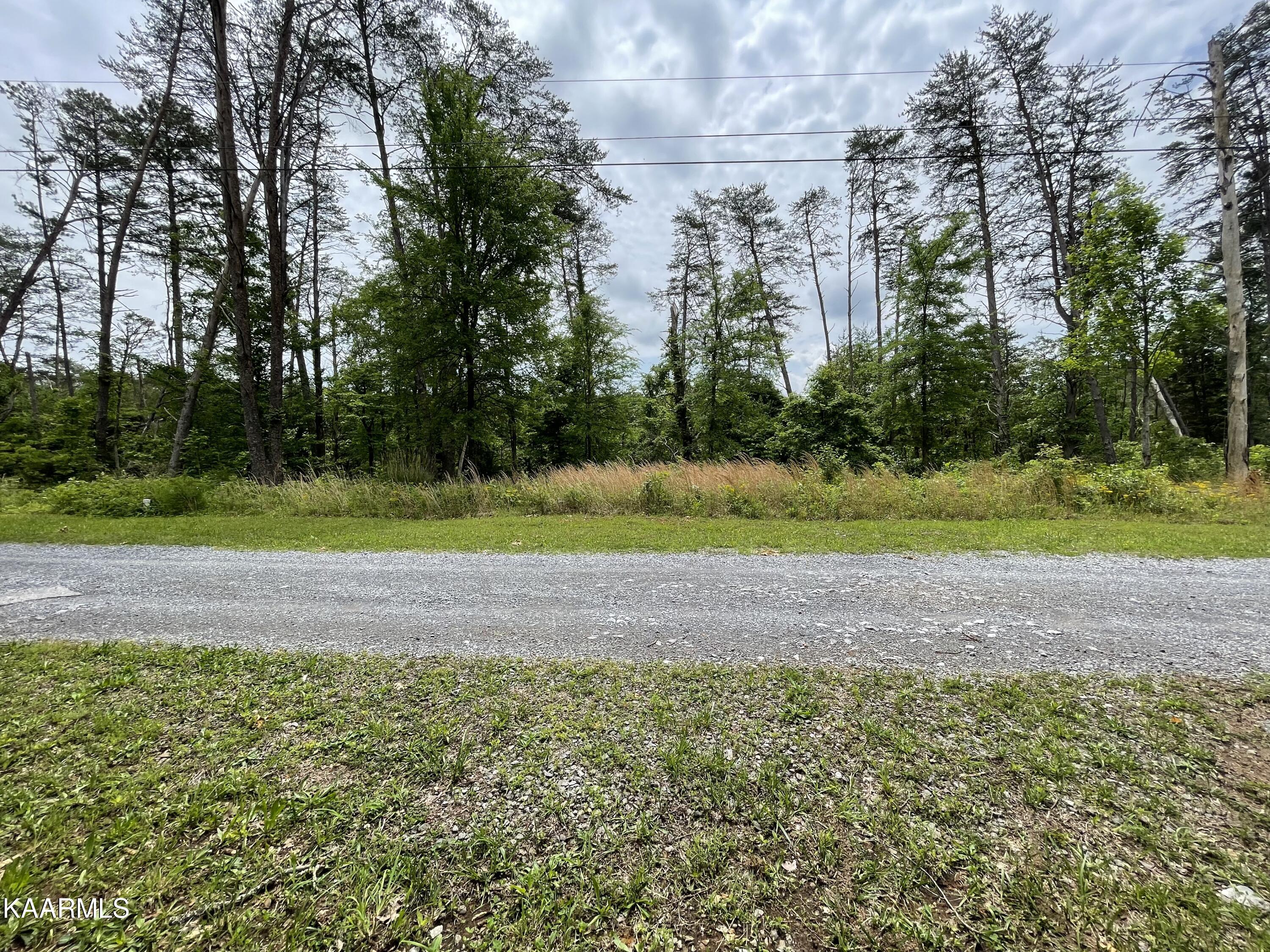 French Broad River Road Seymour, TN 37865 - Photo 10 of 51 6CC586DF-51D5-4B85-AA1E-7BE8AA5A57F1