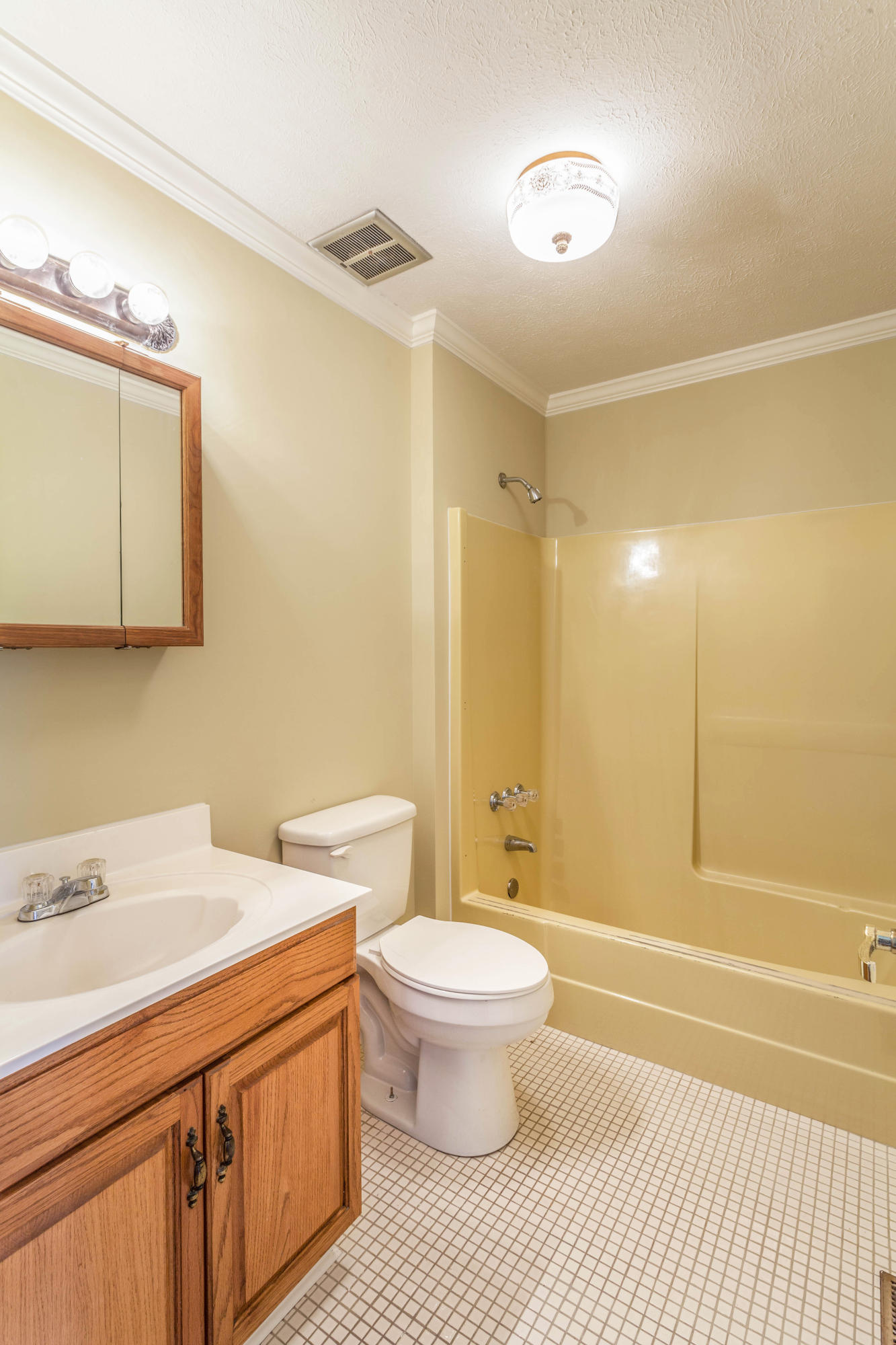 6620 Ramsey Road Harrison, TN 37341 - Photo 12 of 20 Bathroom.jpg