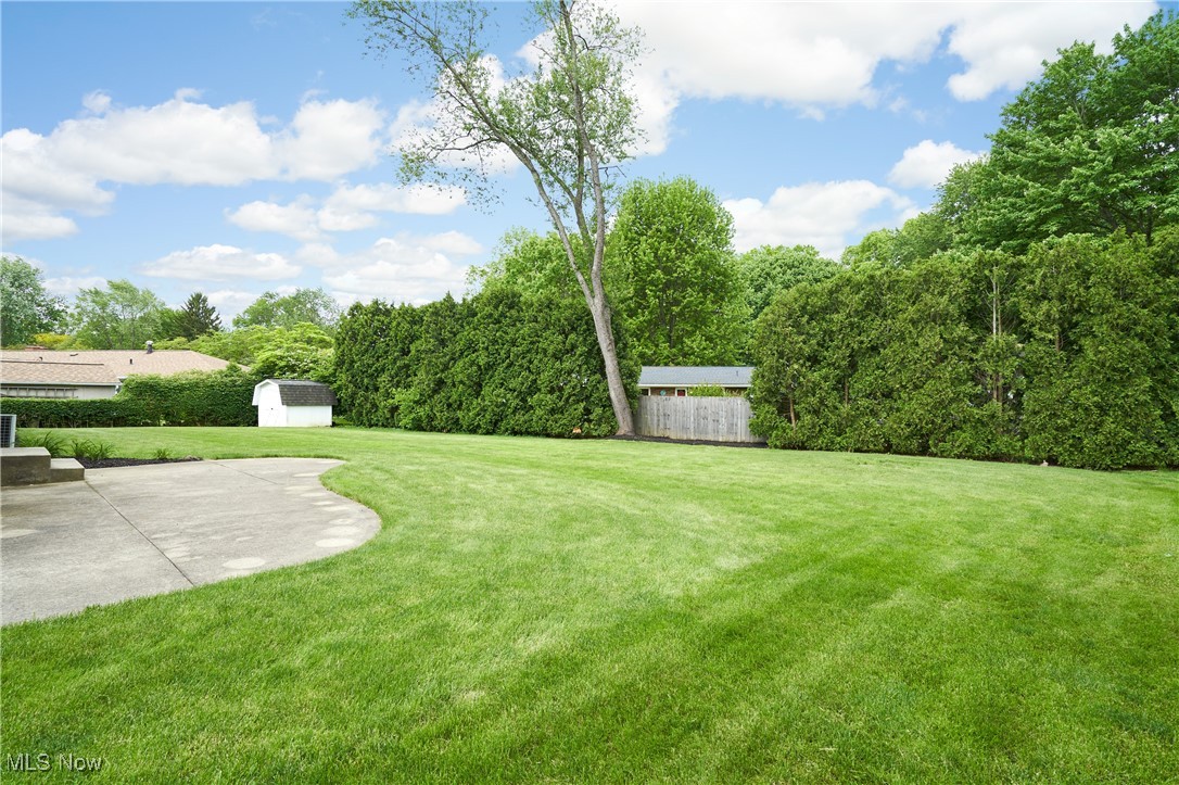 206 Benson Road Akron, OH 44333 - Photo 26 of 27 View of yard with a patio area and tree line of privacy
