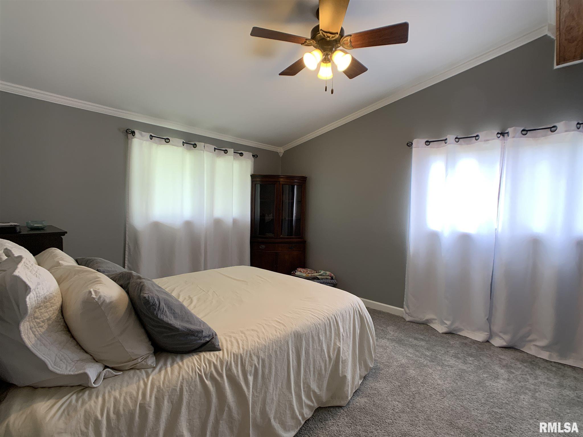 4 Penacook Drive Rochester, IL 62563 - Photo 17 of 29